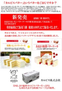 新発売 特撰レモン風味のバターケーキ 特撰あまおうバターケーキ Visavis ヴィザヴィ 公式ウェブサイト